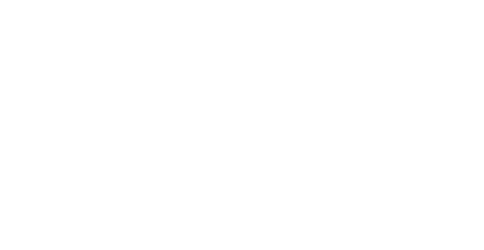 SVP logo